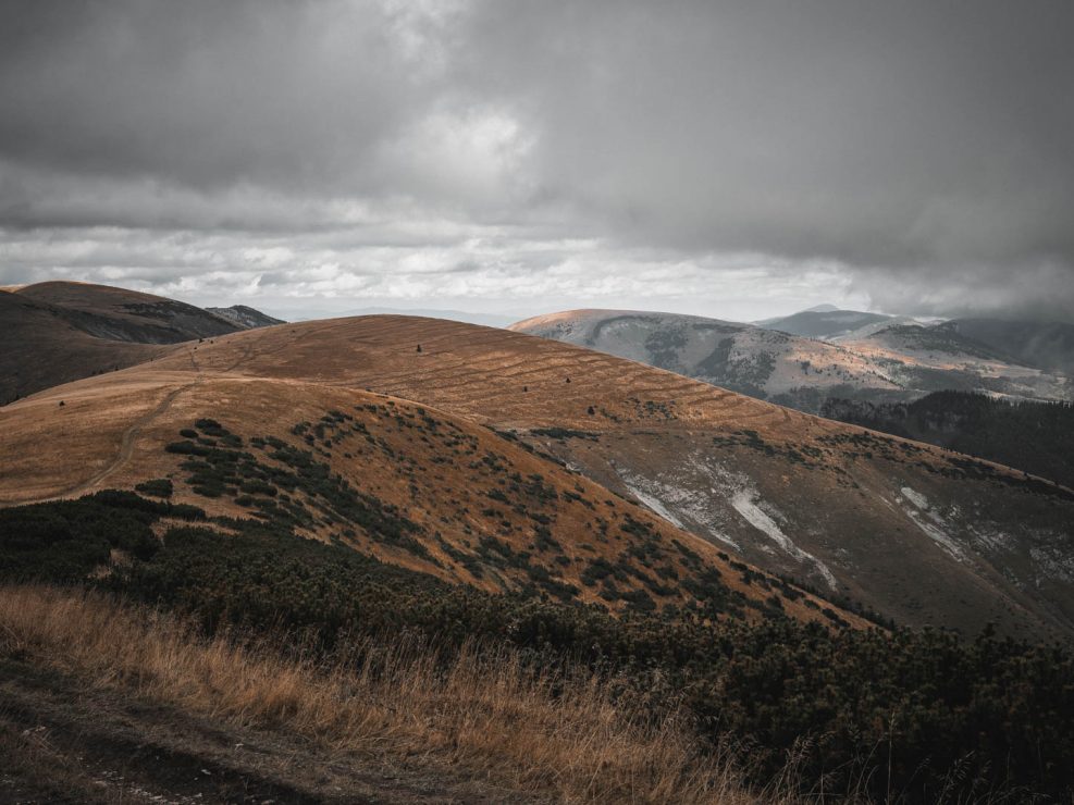 Rolling hills of dry, golden grass under a dramatic, cloudy sky, with patches of dark green shrubs